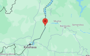 bitmap_1200_nocrop_1_1_20240507142004584028_Kwamouth