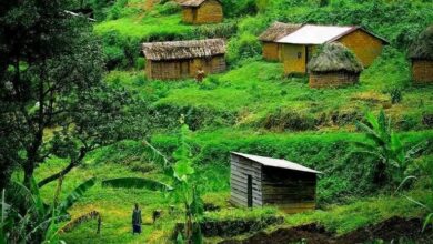 Le territoire de Masisi, dans la province du Nord-Kivu