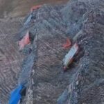 Lualaba : trois morts dans un éboulement sur un site minier à Kisankala