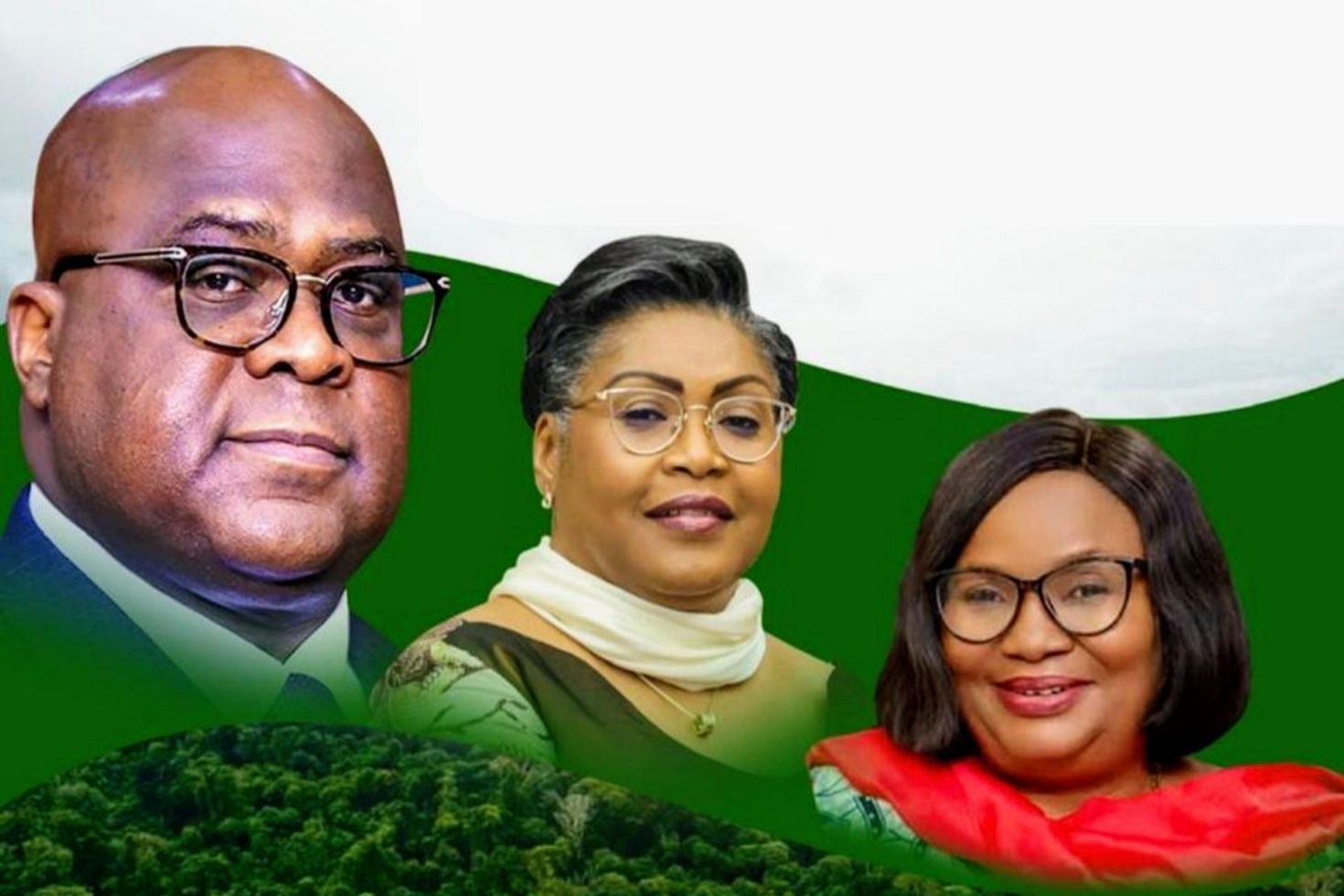 RDC : réforme forestière en vue